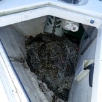 Fairline 58 Squadron